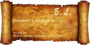Bender Lizandra névjegykártya